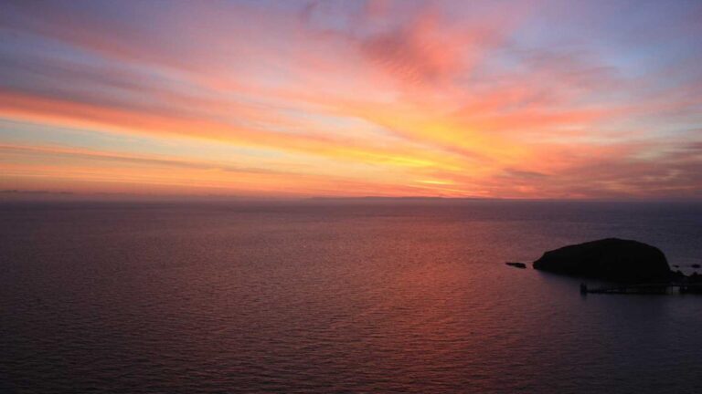 How To Access Reports From The 11Xplay Black Dashboard?